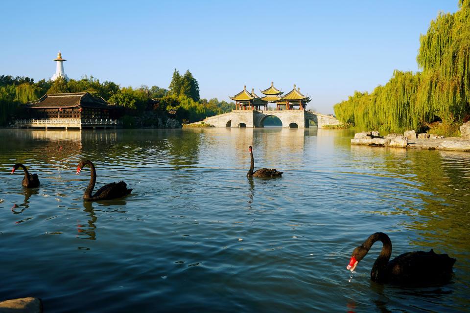 店面向盐城, 本或身份证, 也可免费日 店面向盐城, 本或身份证, 也可免费日